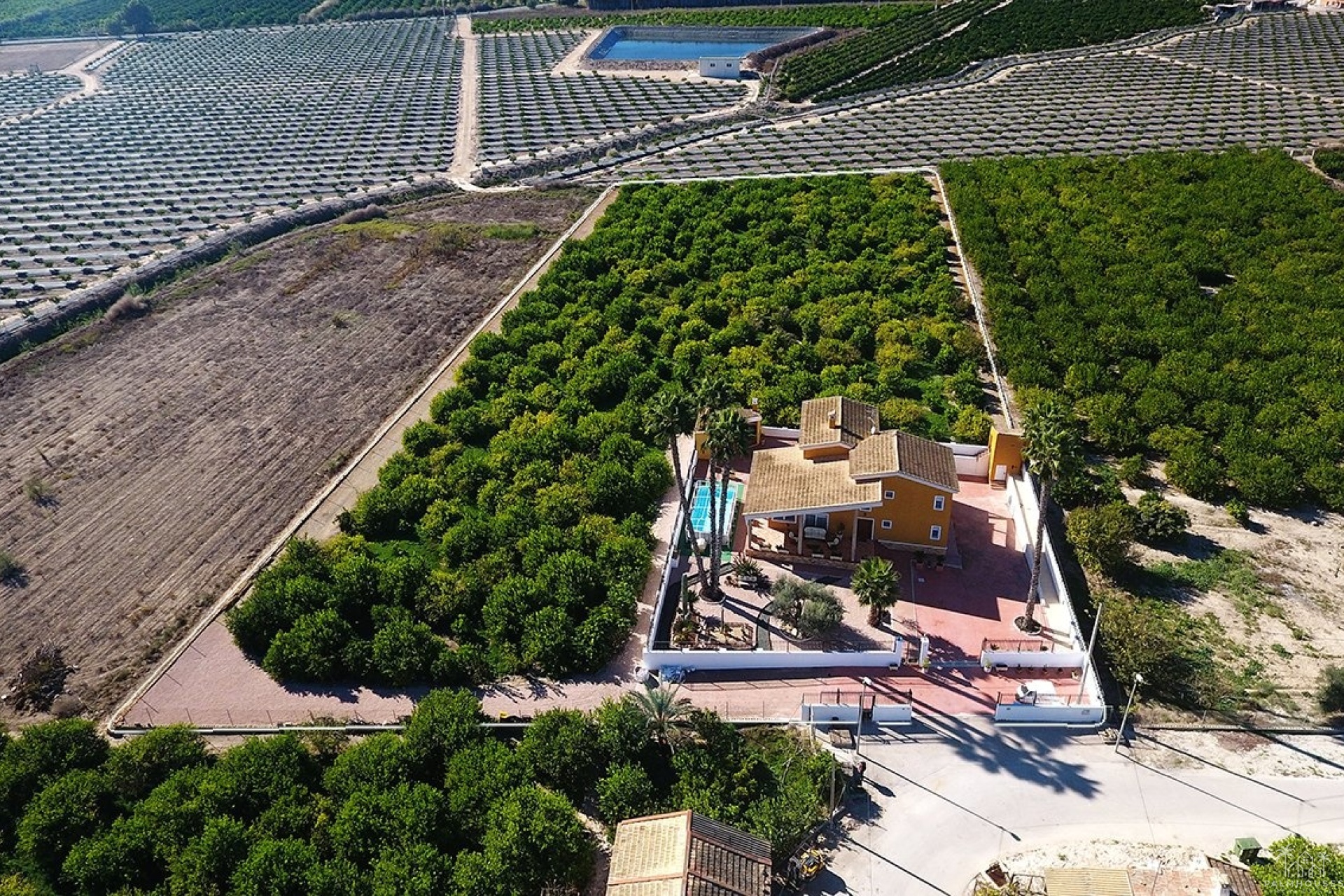 Herverkoop - Finca - Orihuela