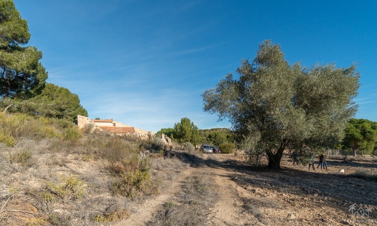 Herverkoop - Finca - Pilar de La Horadada - Pinar de la Perdiz