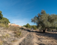 Herverkoop - Finca - Pilar de La Horadada - Pinar de la Perdiz