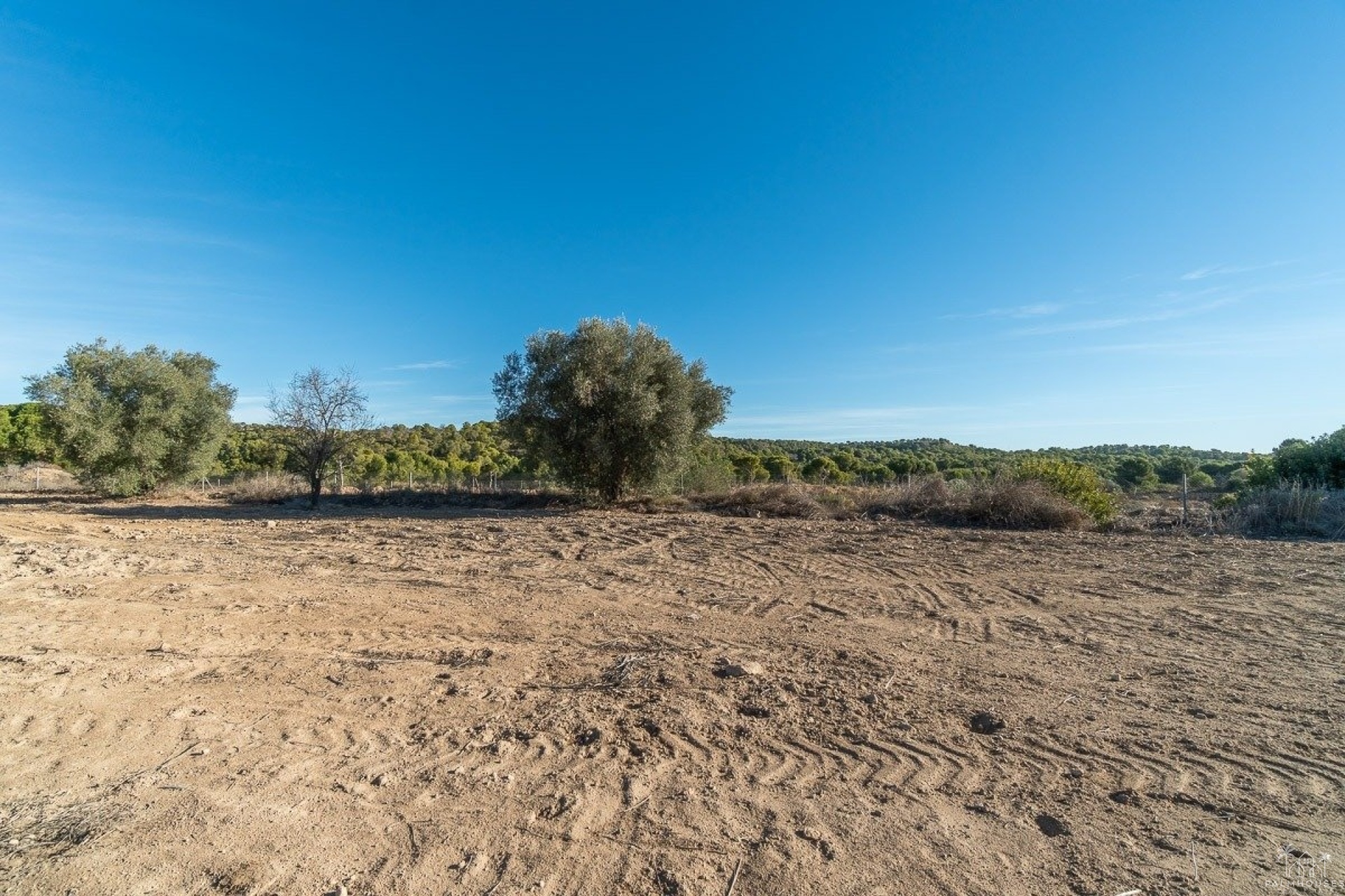Herverkoop - Finca - Pilar de La Horadada - Pinar de la Perdiz