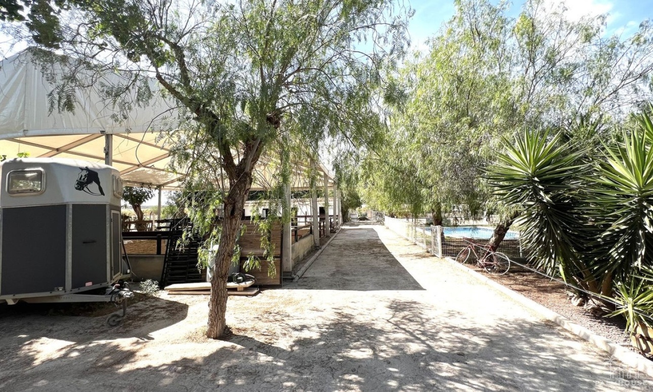 Herverkoop - Huis - Orihuela - Orihuela Centro