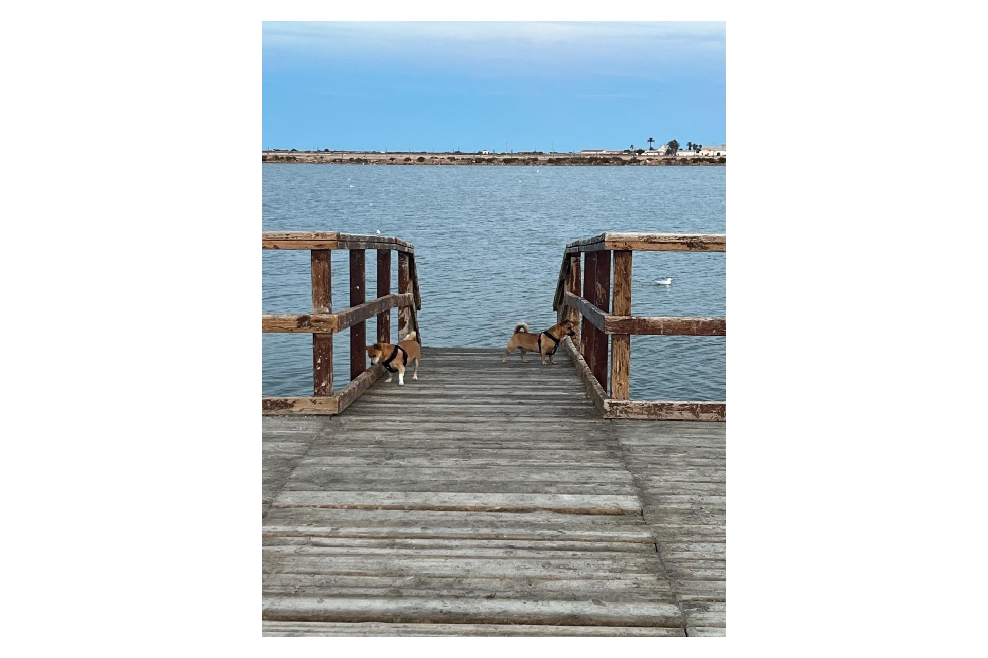 Herverkoop - Huis - San Pedro del Pinatar - Costa Calida