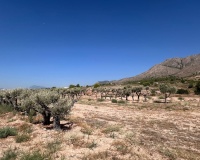 Herverkoop - Plot - Abanilla - Macisvenda