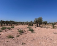 Herverkoop - Plot - Abanilla - Macisvenda
