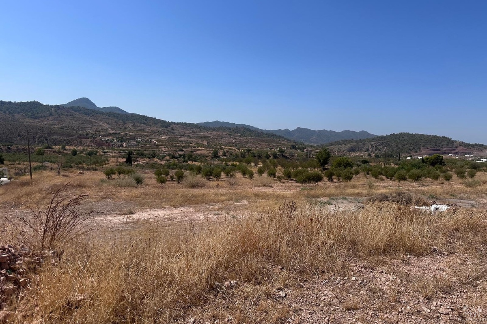 Herverkoop - Plot - Abanilla - Macisvenda