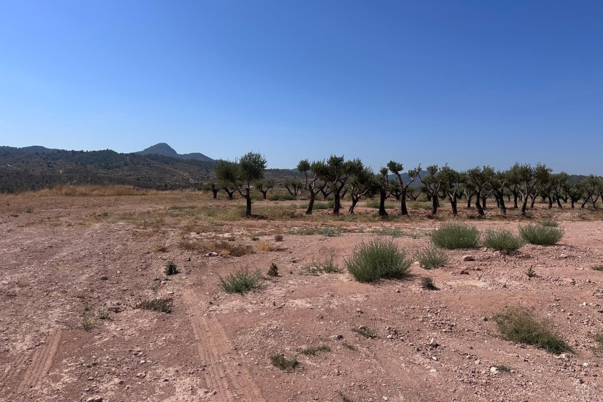 Herverkoop - Plot - Abanilla - Macisvenda