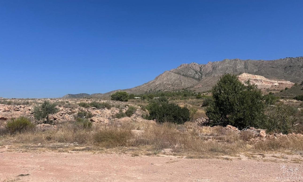 Herverkoop - Plot - Abanilla - Macisvenda