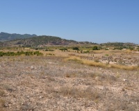 Herverkoop - Plot - Abanilla - Macisvenda