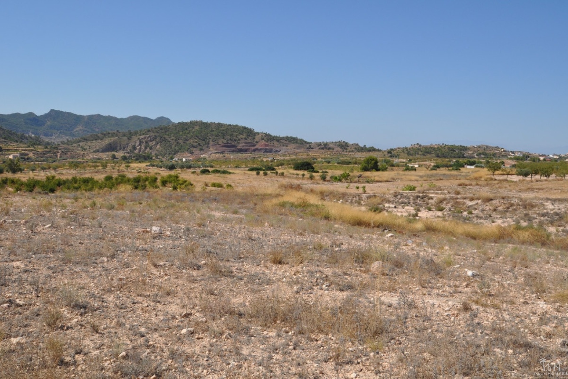 Herverkoop - Plot - Abanilla - Macisvenda