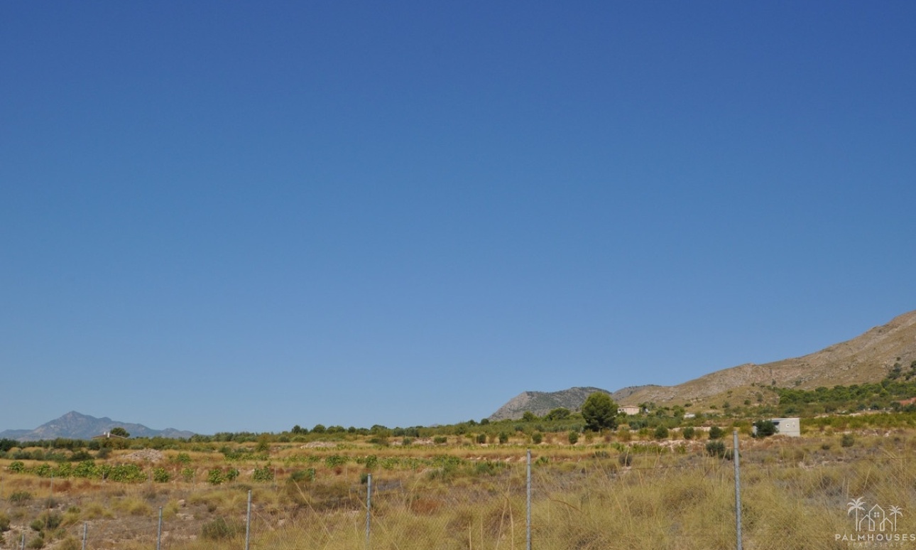 Herverkoop - Plot - Abanilla - Macisvenda