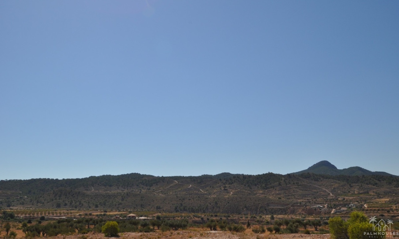 Herverkoop - Plot - Abanilla - Macisvenda