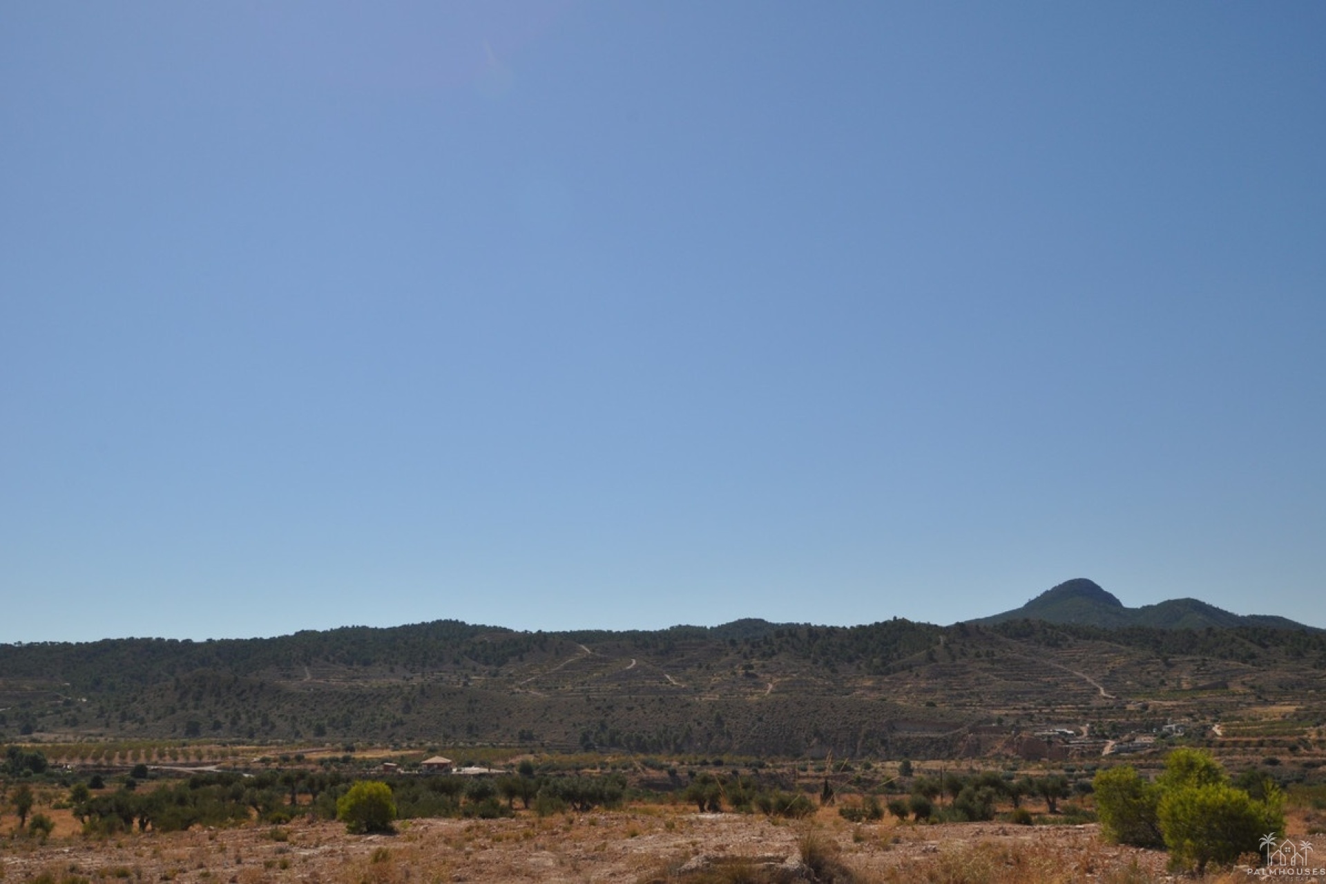 Herverkoop - Plot - Abanilla - Macisvenda