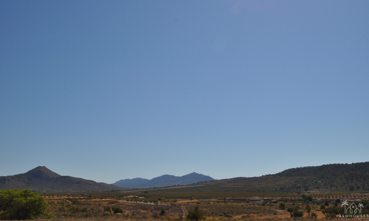 Herverkoop - Plot - Abanilla - Macisvenda