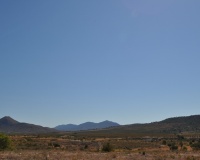 Herverkoop - Plot - Abanilla - Macisvenda
