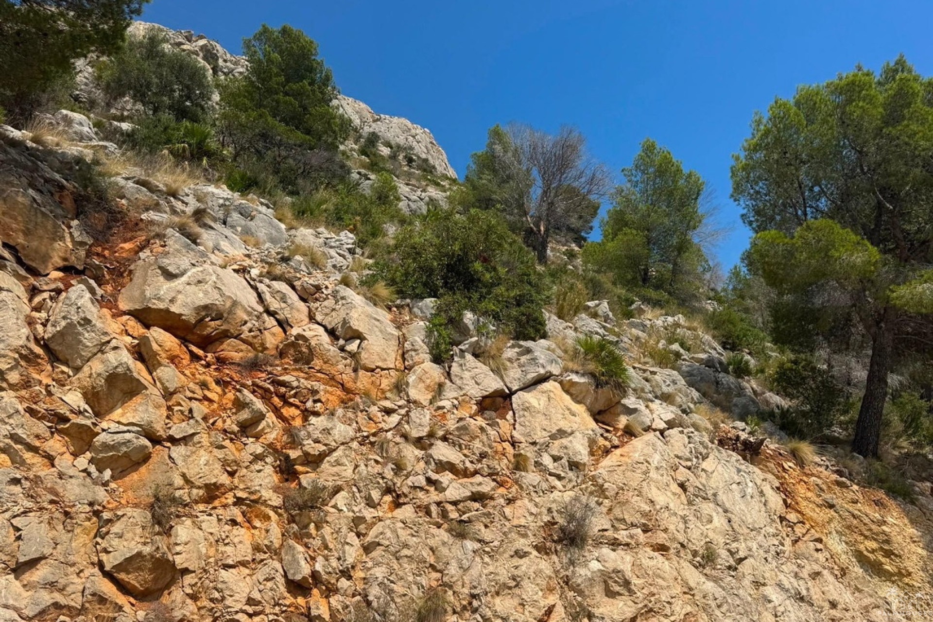Herverkoop - Plot - Altea - Altea Centro