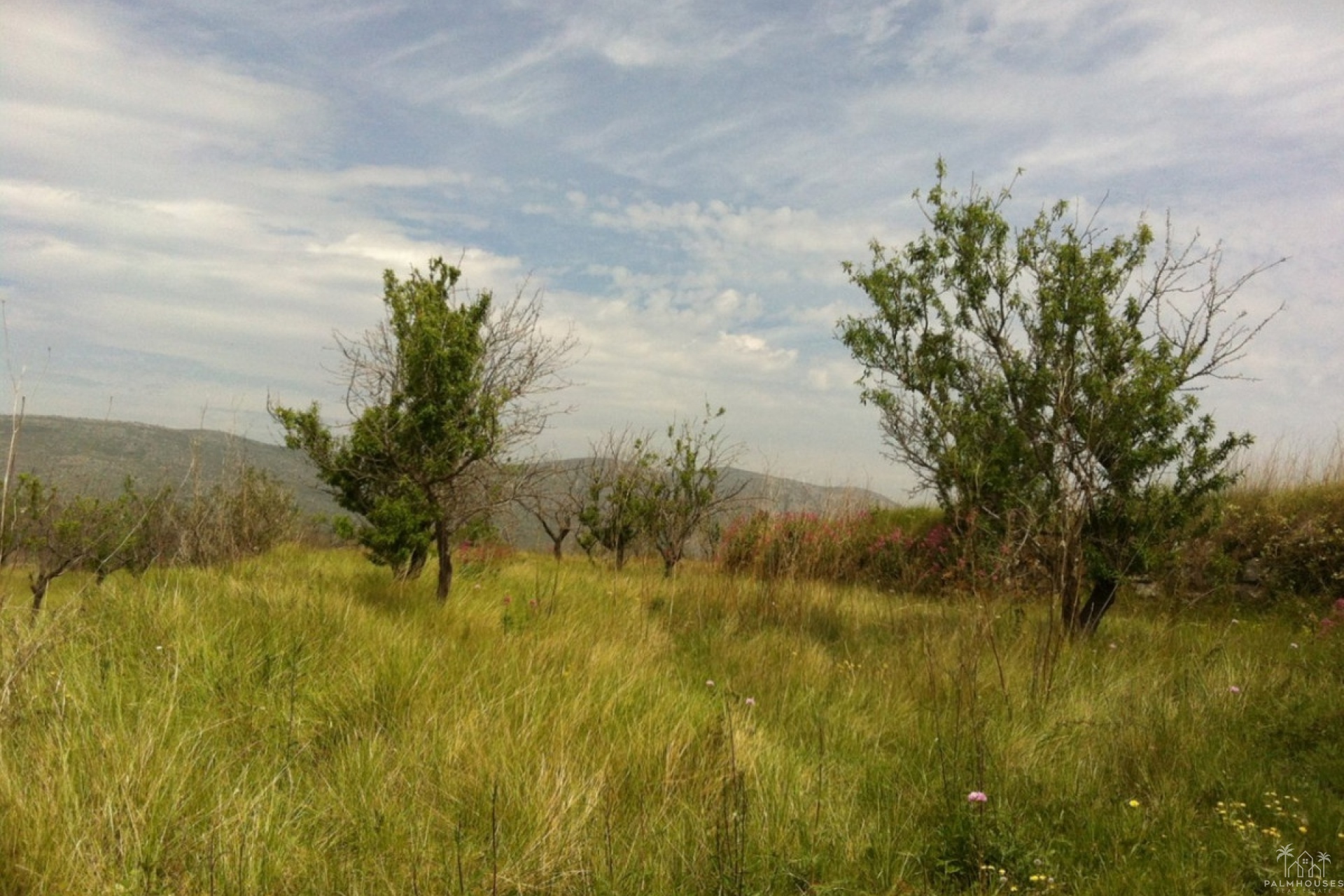 Herverkoop - Plot - Benissa - Benissa Centro
