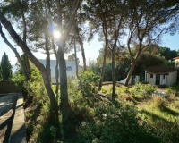 Herverkoop - Plot - Benissa - La Cometa