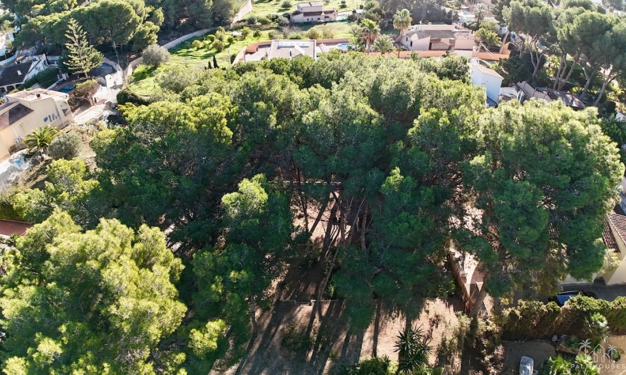 Herverkoop - Plot - Benissa - La Cometa