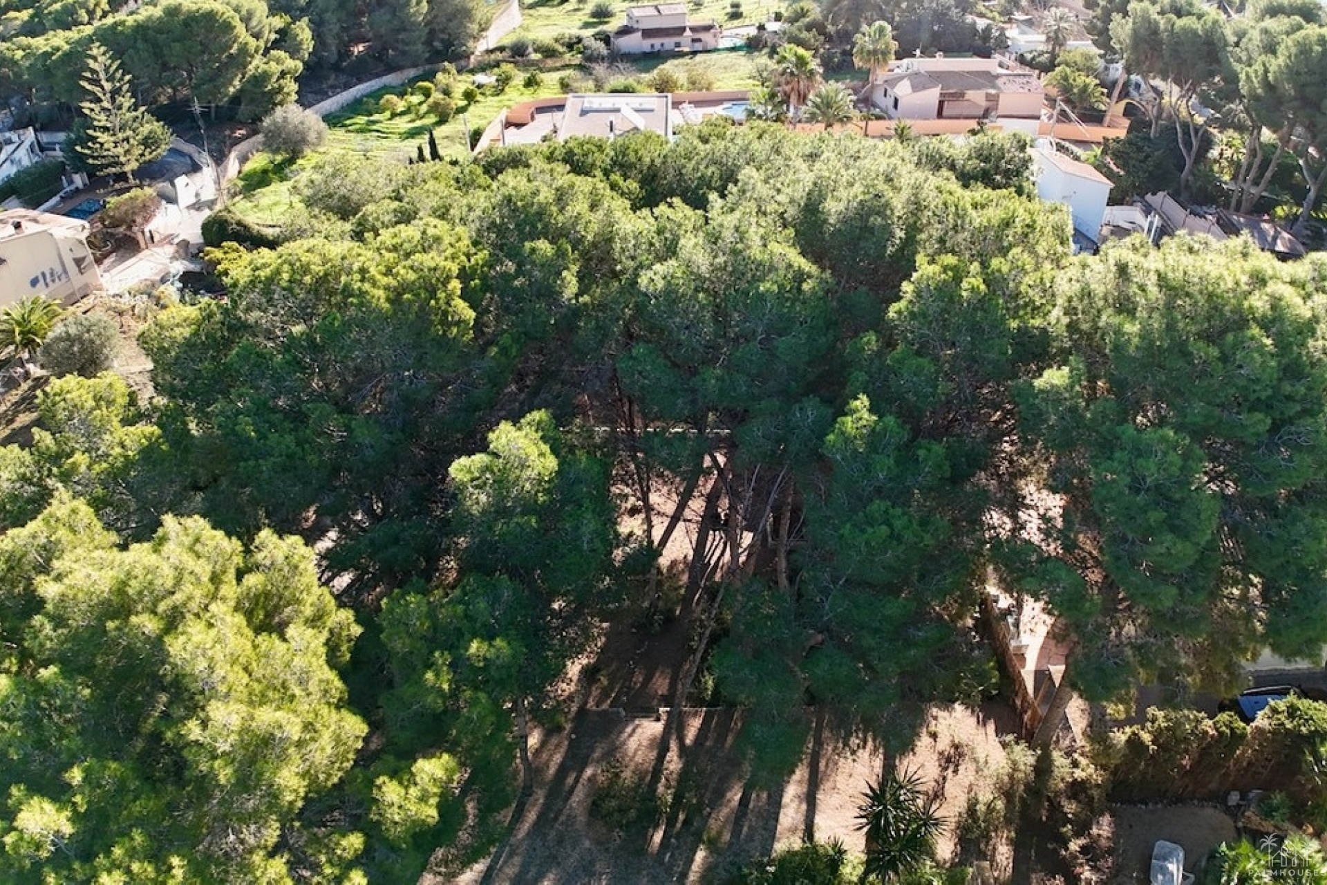 Herverkoop - Plot - Benissa - La Cometa