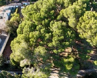 Herverkoop - Plot - Benissa - La Cometa