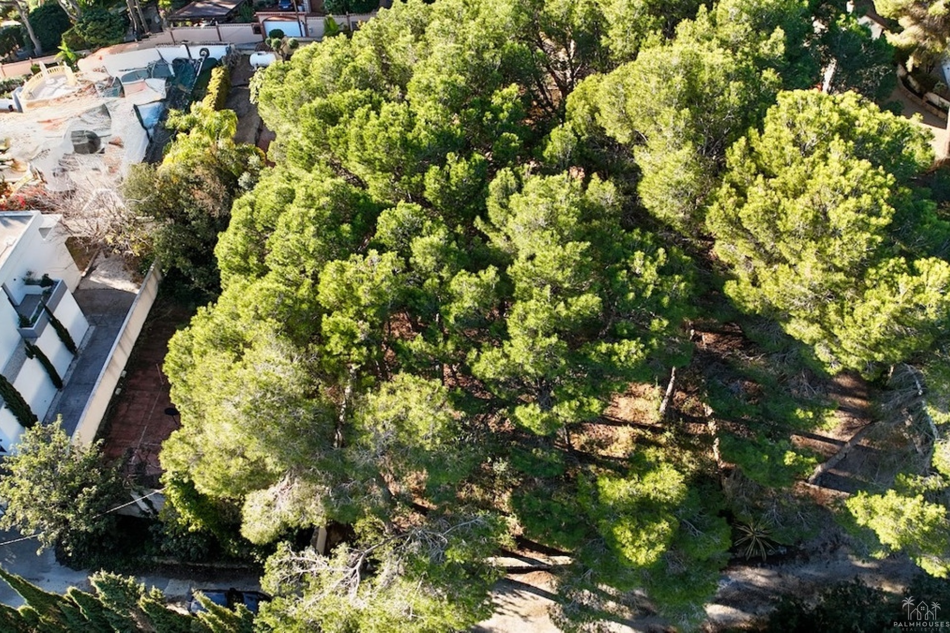 Herverkoop - Plot - Benissa - La Cometa