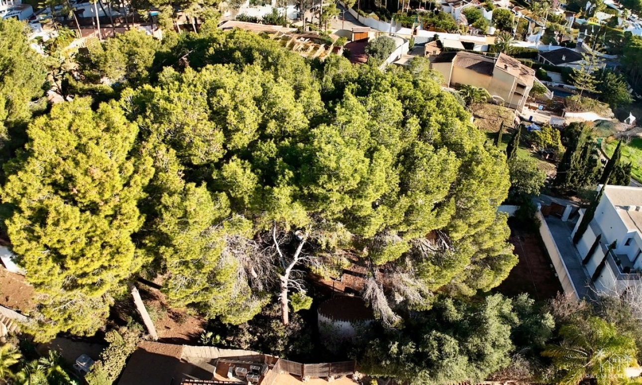 Herverkoop - Plot - Benissa - La Cometa