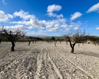 Herverkoop - Plot - Bullas - Costa Calida