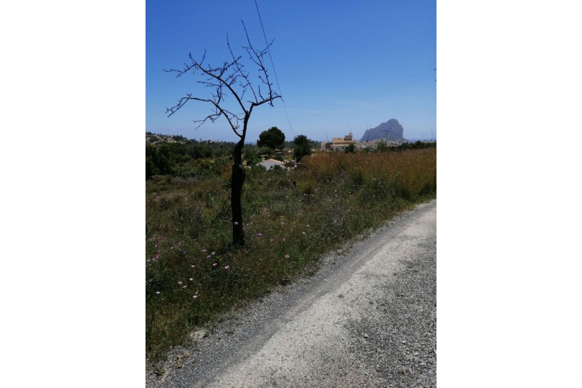 Herverkoop - Plot - Calpe - Calpe Centro