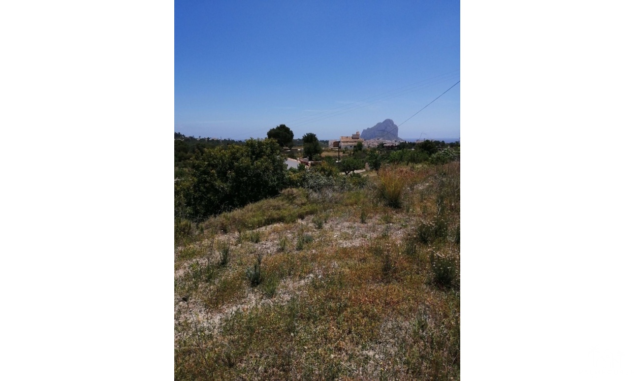Herverkoop - Plot - Calpe - Calpe Centro