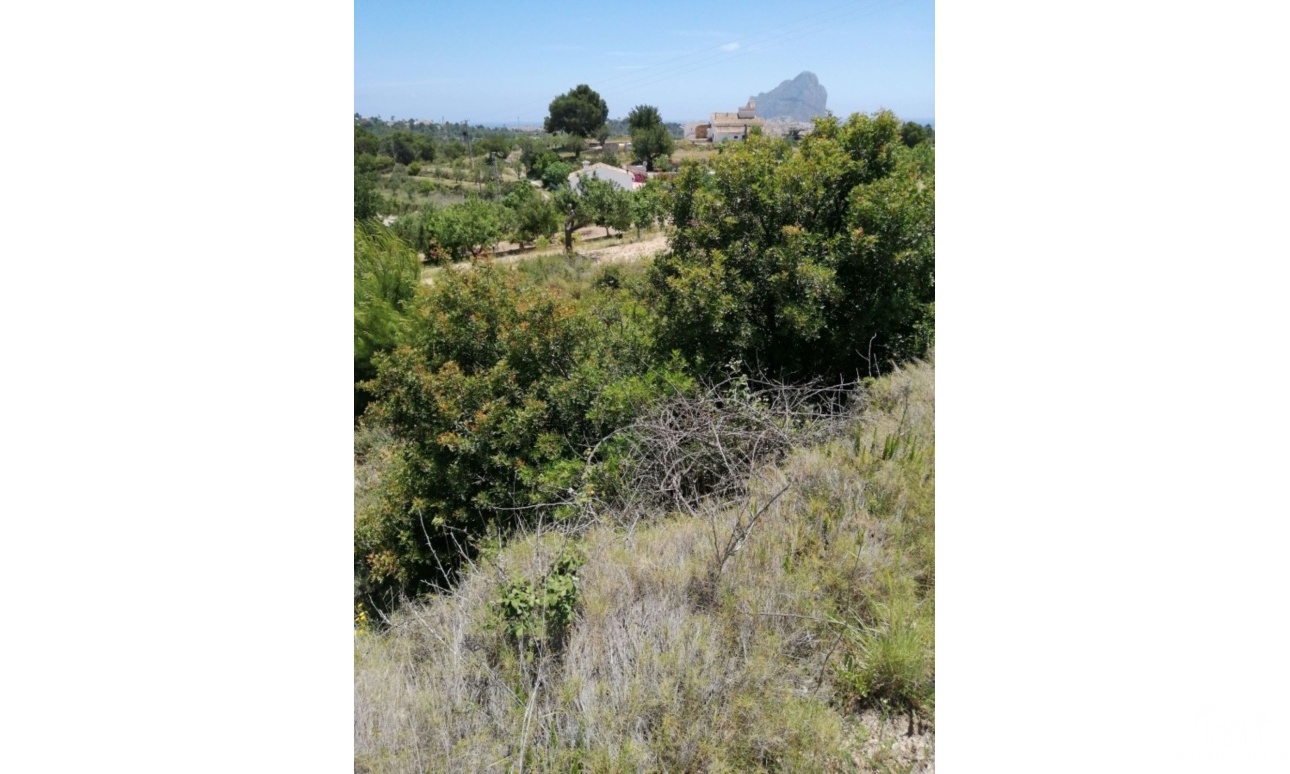 Herverkoop - Plot - Calpe - Calpe Centro