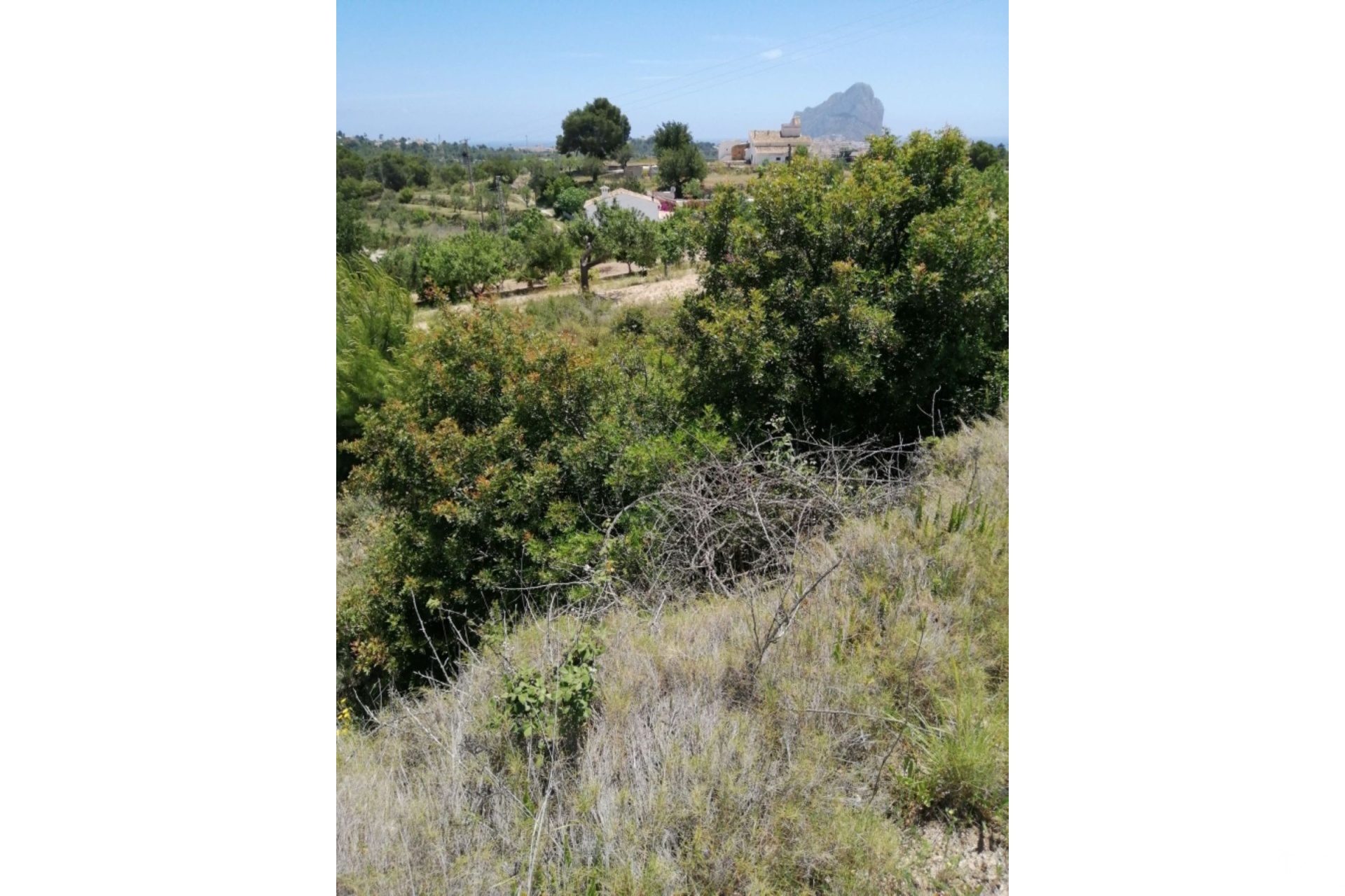 Herverkoop - Plot - Calpe - Calpe Centro