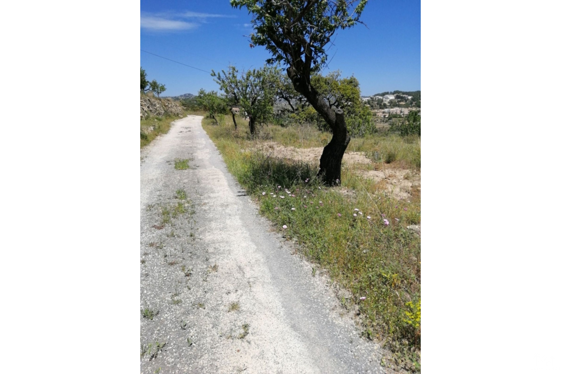 Herverkoop - Plot - Calpe - Calpe Centro