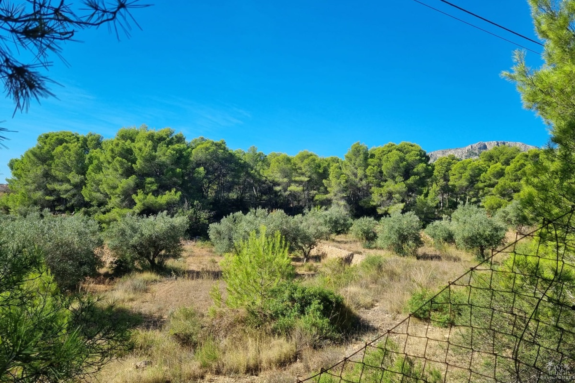 Herverkoop - Plot - Calpe - Calpe Centro