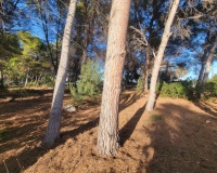 Herverkoop - Plot - Calpe - Calpe Centro