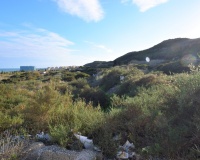 Herverkoop - Plot - Guardamar del Segura - Guardamar del Segura Centro