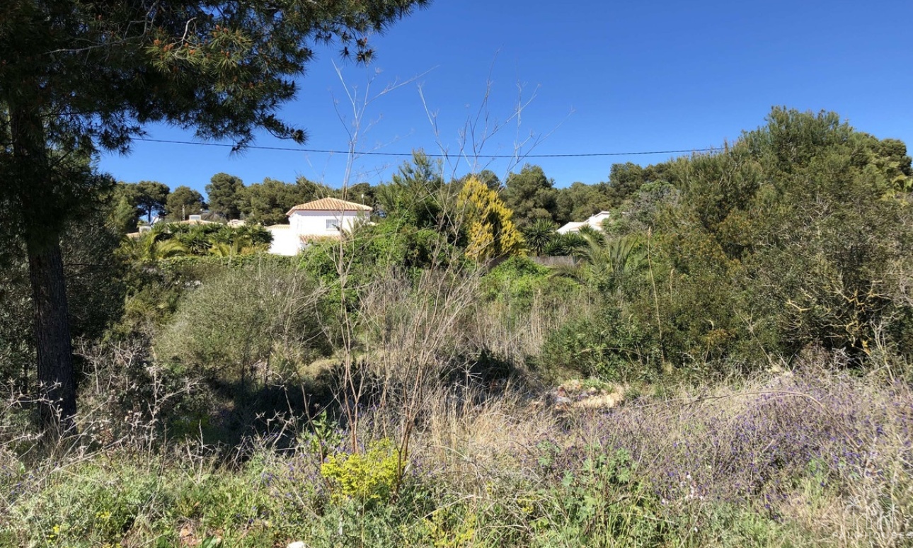 Herverkoop - Plot - Jávea - Xàbia - Jávea - Xàbia Centro