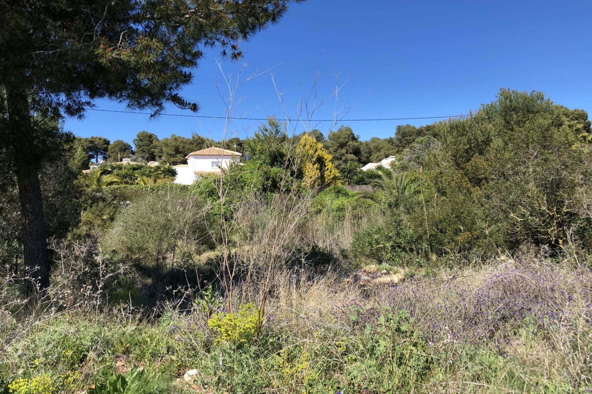 Herverkoop - Plot - Jávea - Xàbia - Jávea - Xàbia Centro