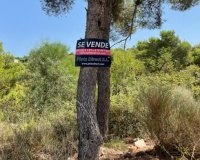 Herverkoop - Plot - Jávea - Xàbia - Jávea - Xàbia Centro