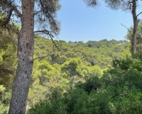 Herverkoop - Plot - Jávea - Xàbia - Jávea - Xàbia Centro