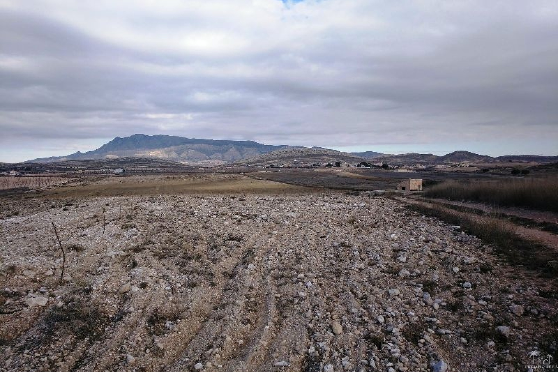 Herverkoop - Plot - Jumilla - Torre Del Rico