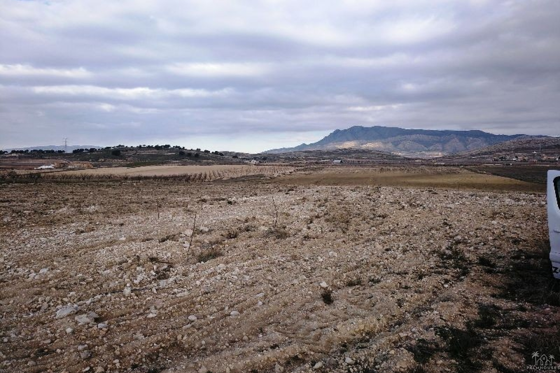 Herverkoop - Plot - Jumilla - Torre Del Rico