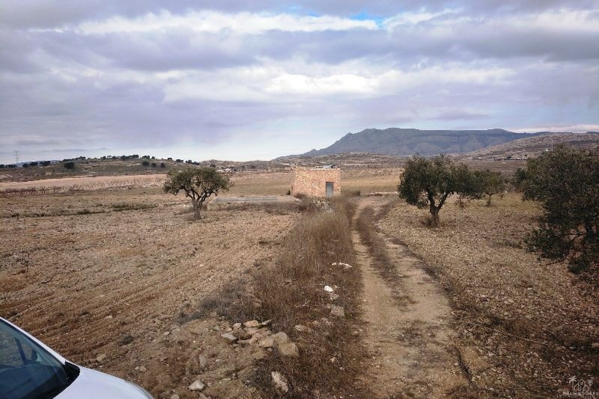 Herverkoop - Plot - Jumilla - Torre Del Rico
