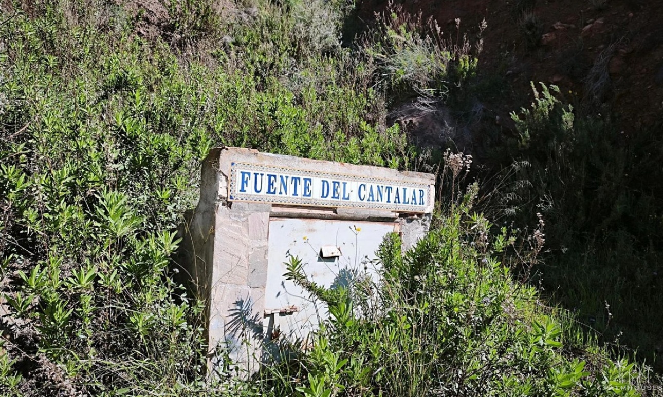 Herverkoop - Plot - Lorca - Lorca Centro
