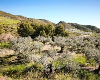 Herverkoop - Plot - Lorca - Lorca Centro