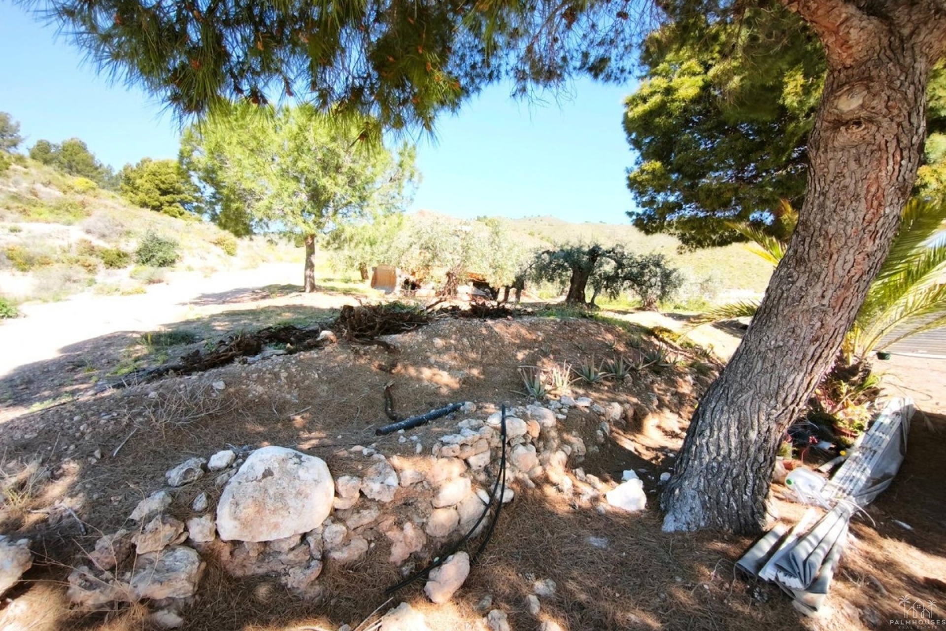 Herverkoop - Plot - Lorca - Lorca Centro