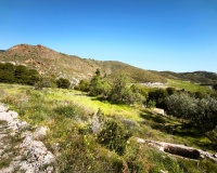 Herverkoop - Plot - Lorca - Lorca Centro