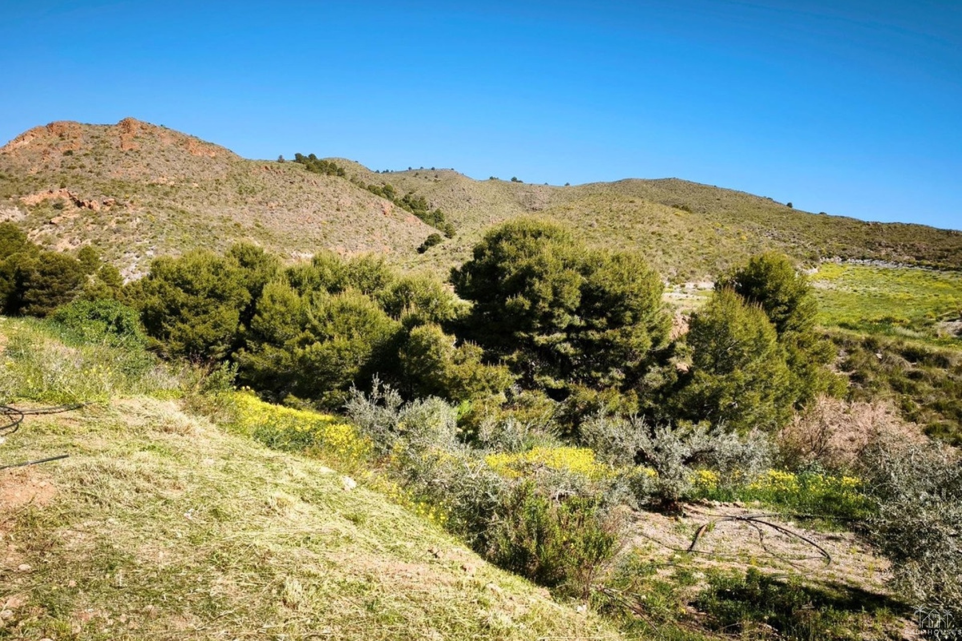 Herverkoop - Plot - Lorca - Lorca Centro