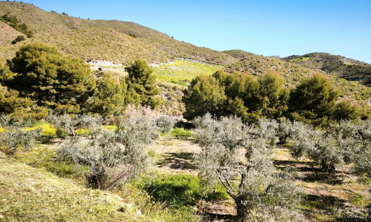 Herverkoop - Plot - Lorca - Lorca Centro