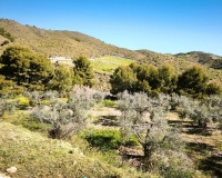 Herverkoop - Plot - Lorca - Lorca Centro