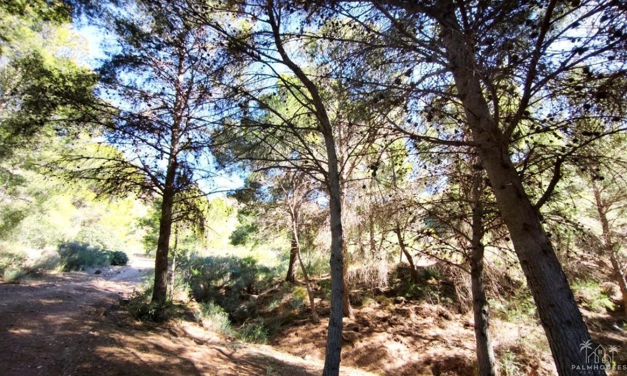 Herverkoop - Plot - Lorca - Lorca Centro